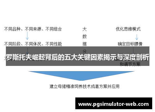 罗斯托夫崛起背后的五大关键因素揭示与深度剖析