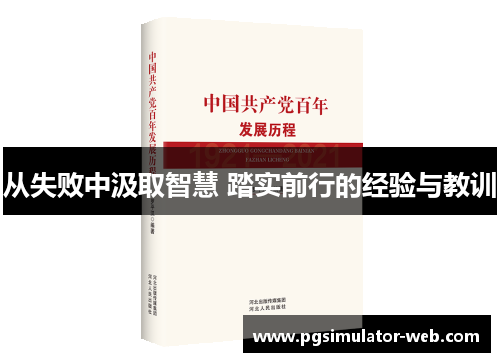 从失败中汲取智慧 踏实前行的经验与教训