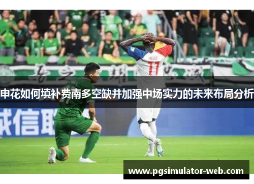 申花如何填补费南多空缺并加强中场实力的未来布局分析