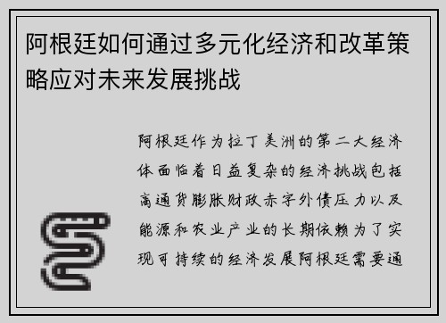 阿根廷如何通过多元化经济和改革策略应对未来发展挑战