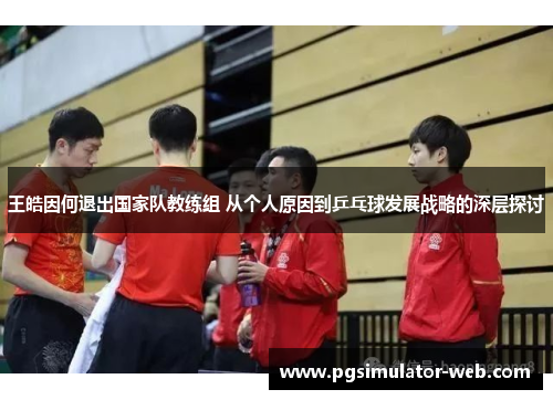 王皓因何退出国家队教练组 从个人原因到乒乓球发展战略的深层探讨