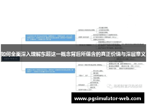 如何全面深入理解东超这一概念背后所蕴含的真正价值与深层意义