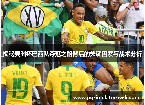 揭秘美洲杯巴西队夺冠之路背后的关键因素与战术分析