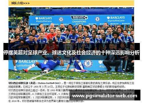 停摆英超对足球产业、球迷文化及社会经济的十种深远影响分析 停摆英超对足球产业、球迷文化及社会经济的十种深远影响分析